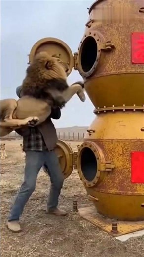 🦾⚙️ Extreme Conversion System: Lion In… Sausages Out at Scale! 🏭🤖
