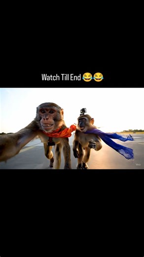 Abhijeet | Tech & AI | 👉 Comment Link 🖇️ to get full process tutorial. In this tutorial you would be able to create high quality monkey vlog reels with Ai... | Instagram