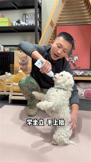 Training dogs is actually very simple. If you use the right methods you can achieve tw