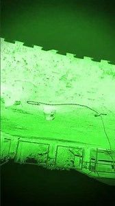 up and down and change color