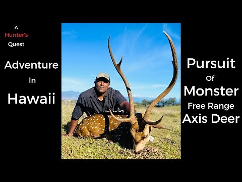 Hunting in Hawaii - The Pursuit of Trophy Axis Deer