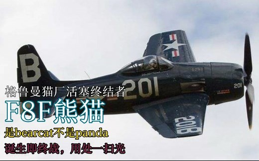 【欧根】我不叫「PANDA」：F8F“熊猫”战斗机【美国海军】