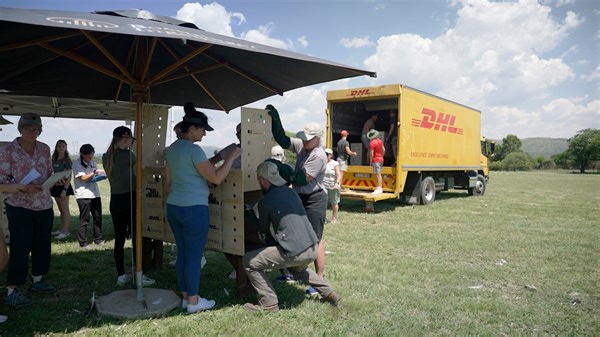 127K views · 950 reactions | DHL recently partnered with VulPro in South Africa for Africa's largest vulture relocation project. As part of our proud tradition of supporting animal conservation efforts, we securely transported the birds from VulPro Hartebeespoort to VulPro in Shamwari Game Reserve. Complex projects like this allow us to showcase the power of our DHL network and deliver on our purpose of Connecting People and Improving Lives. #DHLDelivers #VulPro | DHL Africa | Facebook