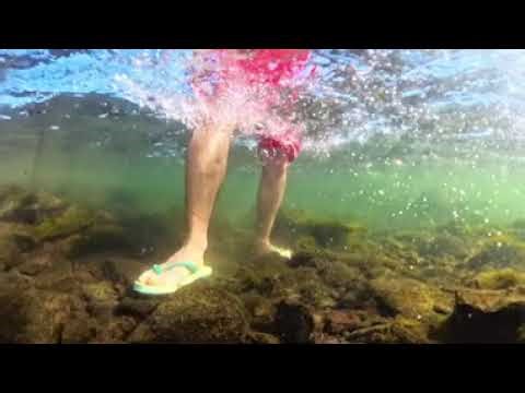 A small sample of the river world🤿😁