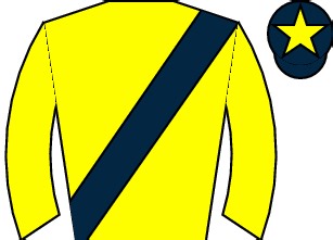 Jim Ryan Racecourse Services Beginners Chase