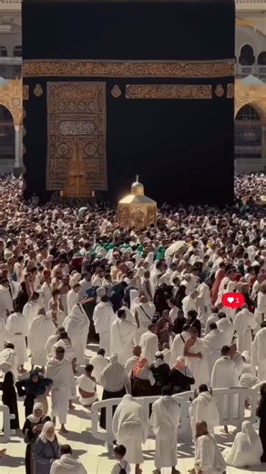 Que Dieu nous accorde d’accomplir le hajj, la ^oumrah et la visite honorée du Messager Salla l-Lahou ^alayhi wasallam #صلى_الله_عليه_وسلم | Hajj Dawoud