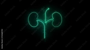 Glowing Human kidney icon animation. This renal system symbol is a neon kidney animation. The kidney was divided into the right and left halves icon animated Stock Video