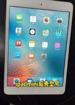 iPad mini 一代下载不了微信，软件下载不了怎么办