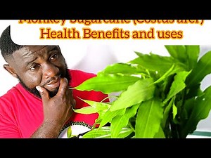 Monkey Sugarcane (Costus afer) Health Benefits and uses