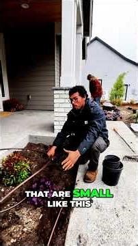 Drip Irrigation: Simple Setup for Thriving Plants! #shorts