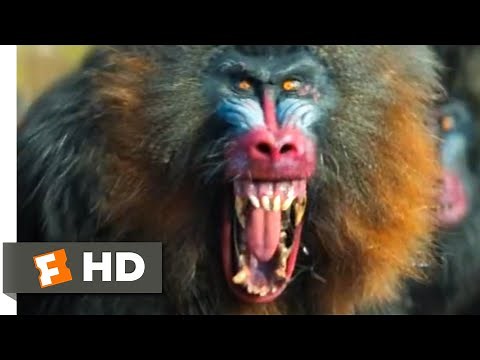Jumanji: The Next Level (2019) - Mandrill Attack Scene (4/10) | Movieclips