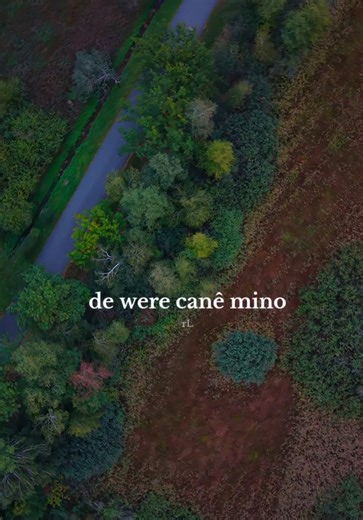 De were canemino .. #xeceherdem #birindarım