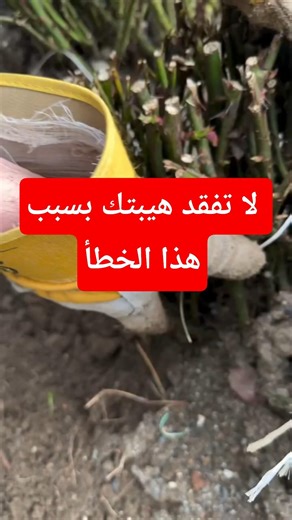 نصيحة تحفظ لك هيبتك 👌 لا تفعل هذا أبداً