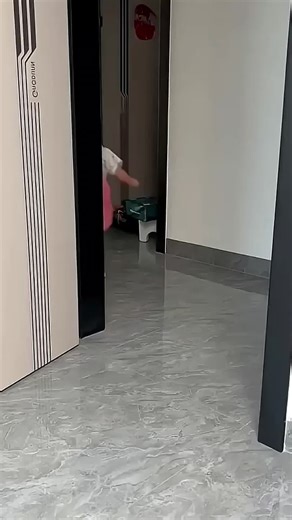 Funny Moments of Kids That Will Make You Laugh