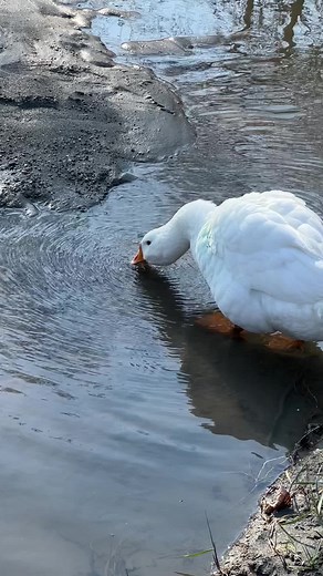 Галя счастлива