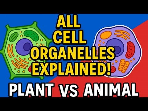 ALL Cell Organelles Explained in 1 Video! 🤯 (Plant & Animal Cells Compared) #cellorganelles