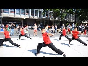 Harvard Wushu Demo