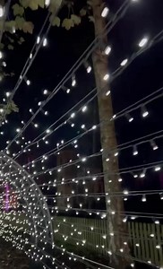 Luminate Sandringham Winter Light Trail returns this winter from 11 November - 18 December. The spectacular mile long trail will bring new creative installations and light interactions through the Royal Parkland this winter, stroll under the stars beneath historic illuminated trees and enjoy making special festive memories. In addition, this year for every booking made Luminate Sandringham will donate to associates Ecologi to fund tree planting projects. Book Tickets and find out more: https://l