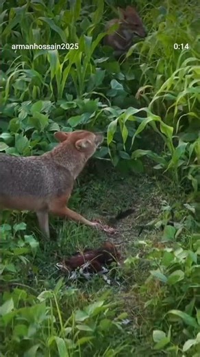 13 दिसंबर 2025