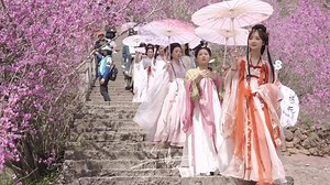 237 reactions | Have you heard of Flower Festival? It is a day in...