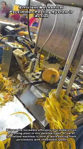 Efficient Mechanical Persimmon Peeling System in Action