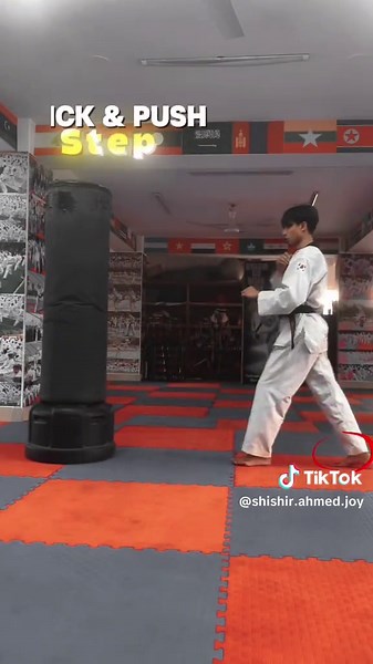 Mastering the Push Kick Technique in Martial Arts