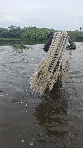 Oldu Man fish Nat used Cashing all type fish #fishing | Anbu Views