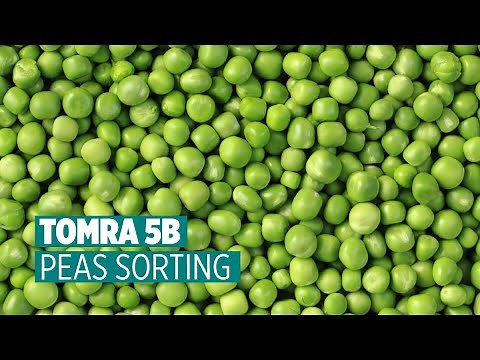 TOMRA 5B - Peas Sorting