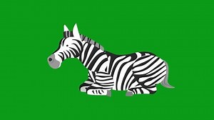 Zebra Green Screen Zebra Walkingzebra Eatingzebra 库存影片视频（100% 免版税）3470107657 | Shutterstock