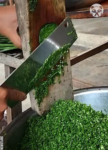 Quick and safe way to slice chives | Crafty School