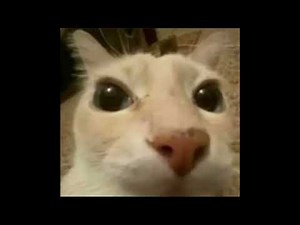 One hour of silence interrupted by cartoon boing sound effect