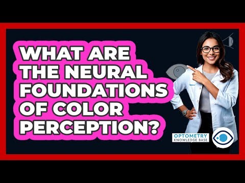 What Are The Neural Foundations Of Color Perception?