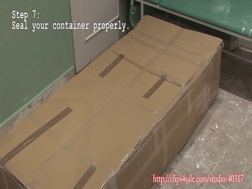 plaster mummification