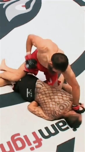 Boxing More Dangerous Than MMA? Watch This KO 🔥 #MMA #UFC #Knockout #KO #BoxingVsMMA #Fight #Fyp