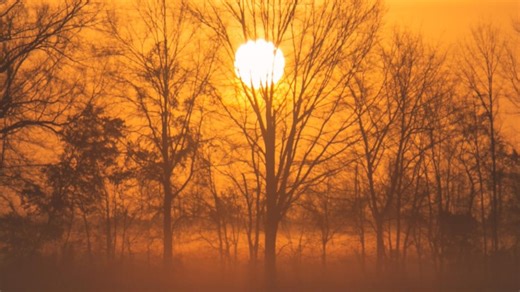 Why does fog form during mild weather?