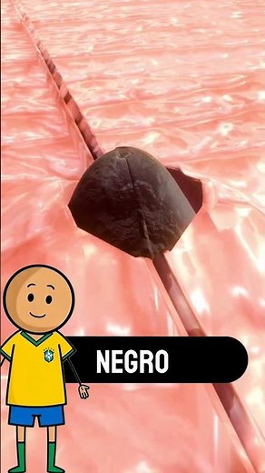Qué es REALMENTE un punto negro 😱🔬