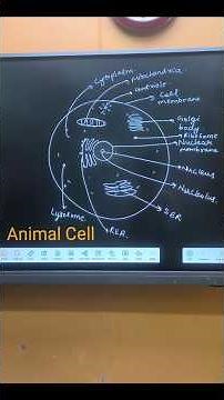 How to draw Animal cell || #viralvideo #comedy#viralvideo#motivation #coldseason#facts#aaravacademy