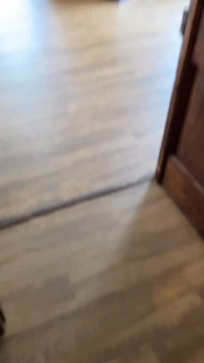 #tardis #doctorwho | The Curator's Tardis