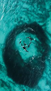 558 reactions · 145 shares | Orca's carousel feeding in Arctic Norway﫶懶﫶  @buendiaphotography ⛴️ @barbaboat #dolphins #orcas #dronestagram #carouselfeeding #arctic #northernnorway | Champions for Cetaceans | Facebook