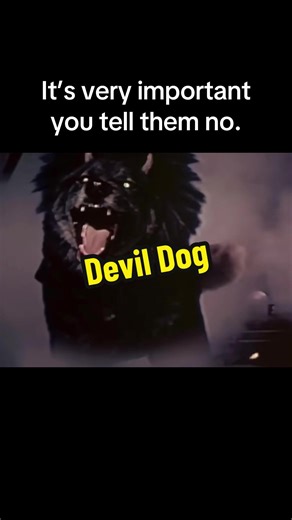 Devil Dog: The Hound of Hell lives rent free in my head. #80s #80shorror #devildog