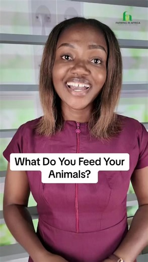 Farming In Africa 233546793848 (@farminginafrica_official)’s videos with original sound - Farming In Africa 233546793848