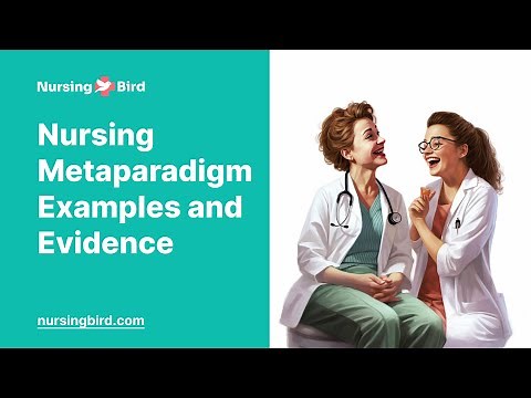 Nursing Metaparadigm Examples and Evidence - Essay Example