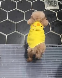 2.9M views · 8.5K reactions | I do love the aftermath of a bath, but not the process itself!  | MetDaan | Facebook