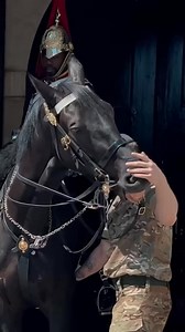 20K views · 403 reactions | HORSE & SOLDIER PLAY  ｜ Horse Guards, Royal guard, Kings Guard, Horse, London, 2025 ____________________ | king royals Guards s | Facebook