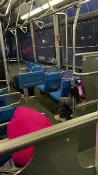 That is Me Sitting in A window Seat of the Q58 MTA Orion VII Next Generation Citybus