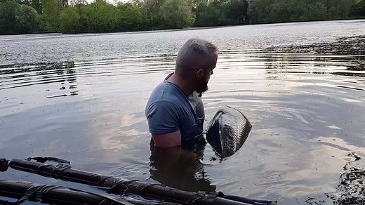A simply incredible 24hrs of carp fishing on Villefond lake. A run of huge carp for lake owner Mark which saw 50's, 60's and an 80lber on the bank. Watch the full session below. https://www.anglinglines.com/venue/Villefond | Angling Lines - Carp Fishing in France