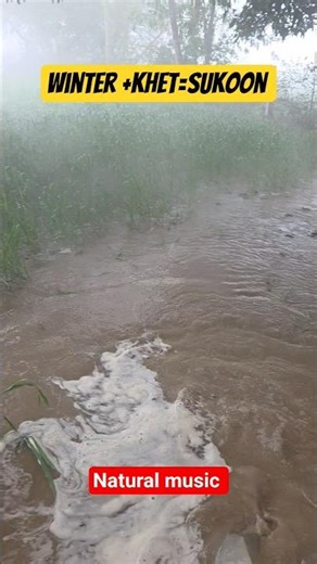 apna Gaon #gaon #khet #village #sukoon #naturelovers #viral #shorts #trending #new #lucknow #share