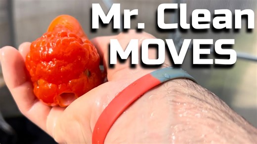 The Ultimate Goldfish Delivery: Bringing Home the Whole Squad