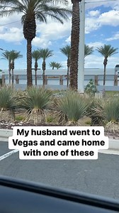 My husband came home with one of these | Absolute American Mayhem