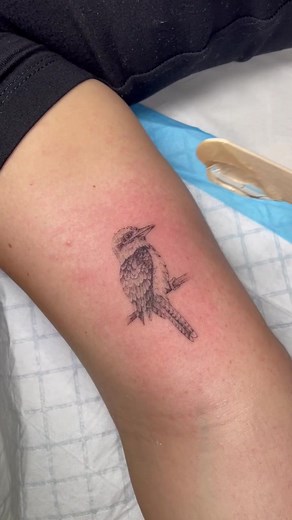 Baby Kookaburra Tattoo Ideas